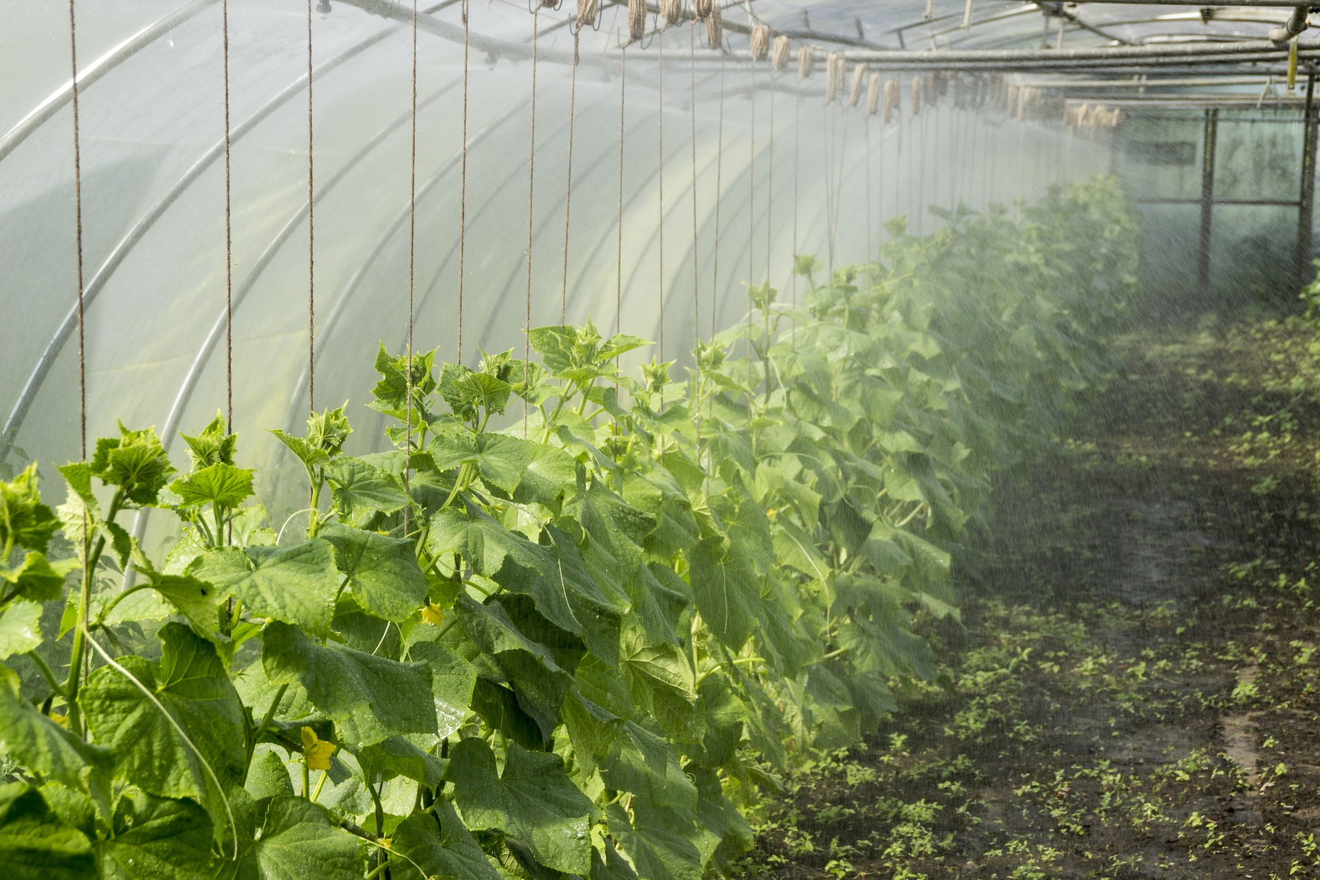 Les principes de la Permaculture