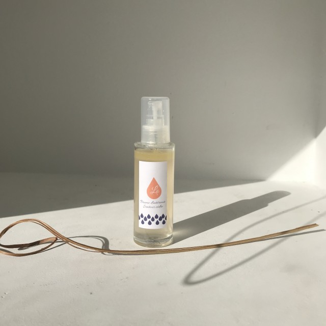 Parfum désodorisant d'intérieur senteur cèdre 100 ml