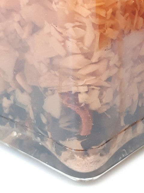Vinaigre du forban