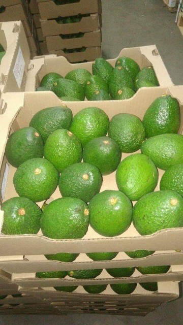 Ananas avocats cajou décortiquer Mangues 