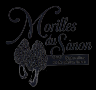 Les Morilles du Sânon